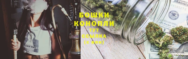 марки lsd Пересвет