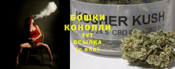 молекула духа Переславль-Залесский