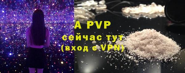 ГАЛЛЮЦИНОГЕННЫЕ ГРИБЫ Остров