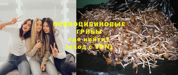MESCALINE Осташков