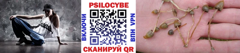 как найти наркотики  Тула  Галлюциногенные грибы мухоморы 