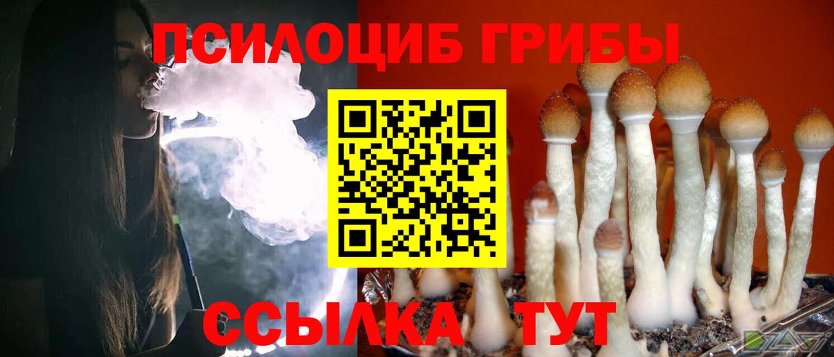 Псилоцибиновые грибы Magic Shrooms  Псилоцибиновые грибы Magic Shrooms  Тула  Вход с VPN 